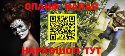 ПСИЛОЦИБИНОВЫЕ ГРИБЫ Кимры