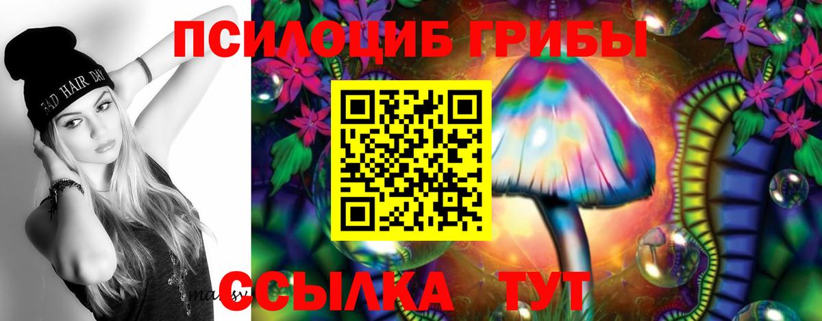 Галлюциногенные грибы Psilocybine cubensis Шуя