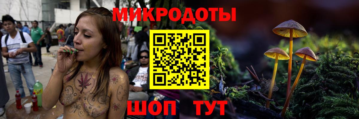 Шуя  Псилоцибиновые грибы Cubensis  Вход с VPN 